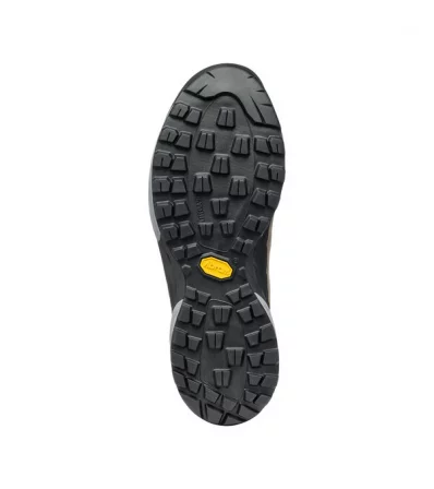 Approach Shoes Scarpa Mescalito GTX M's