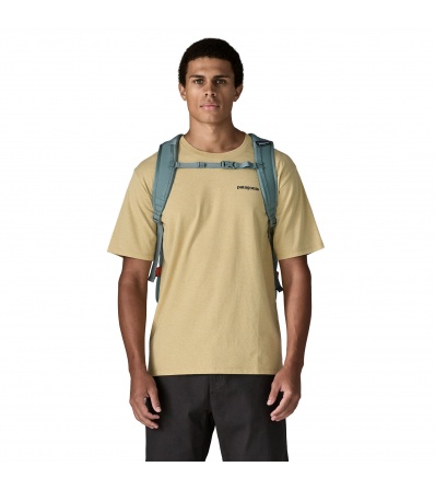 Patagonia Refugio Daypack 30L