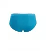 Icebreaker Merino 150 Anatomica Briefs M's