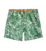 Patagonia Baggies 5