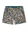 Patagonia Baggies 5