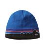 Patagonia Beanie Hat